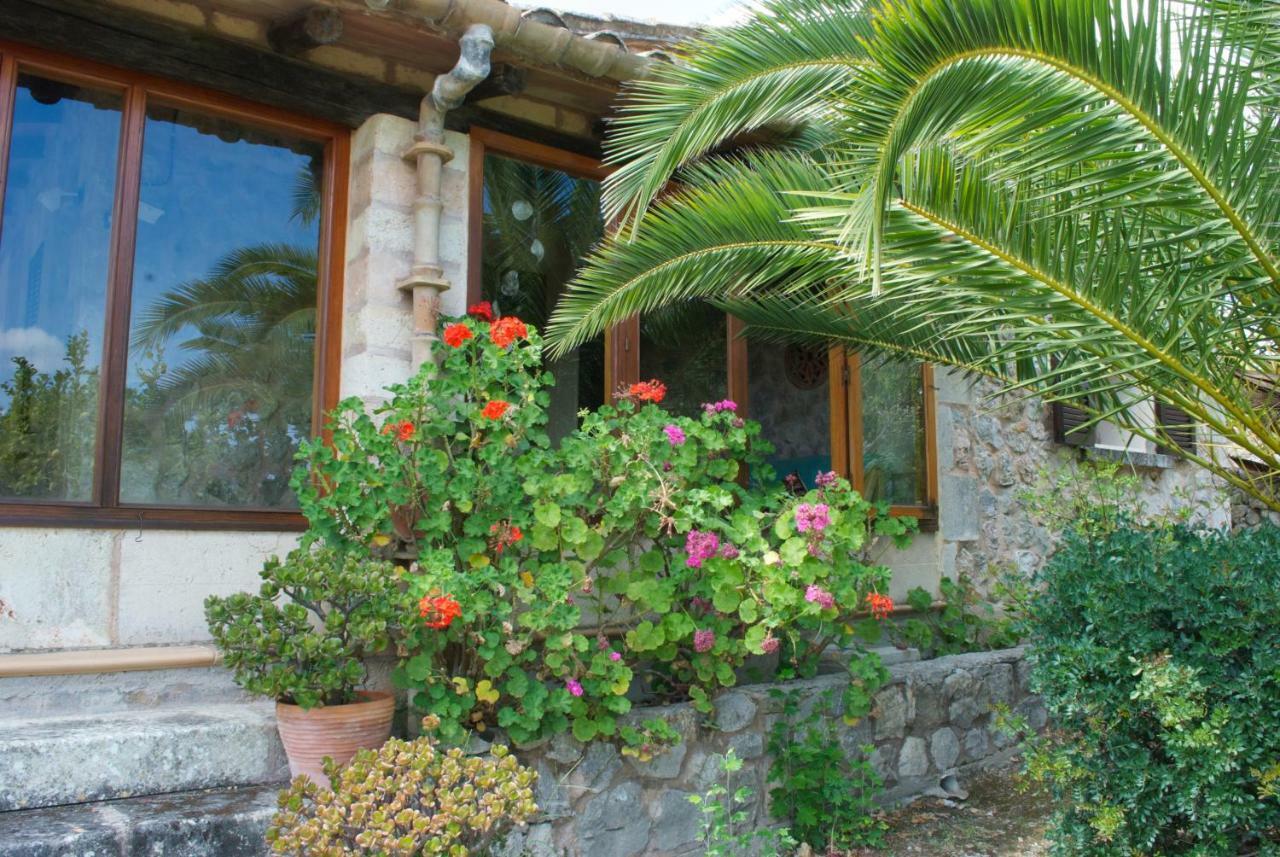 Can Petrel Pollenca Exterior photo